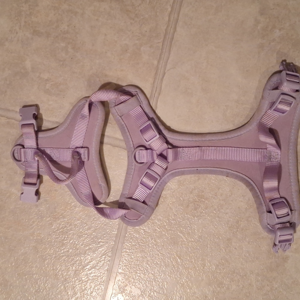 Purple Dog Harness